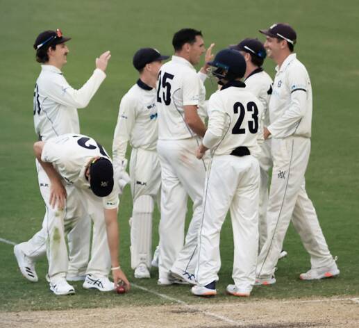 Nic Maddinson (left) and his teammates celebrate a wicket against NSW. Photo: Cricket Victoria