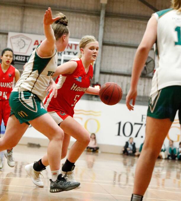 Illawarra Hawks' Asha Phillips has been named in numerous state squads. Photo: BNSW