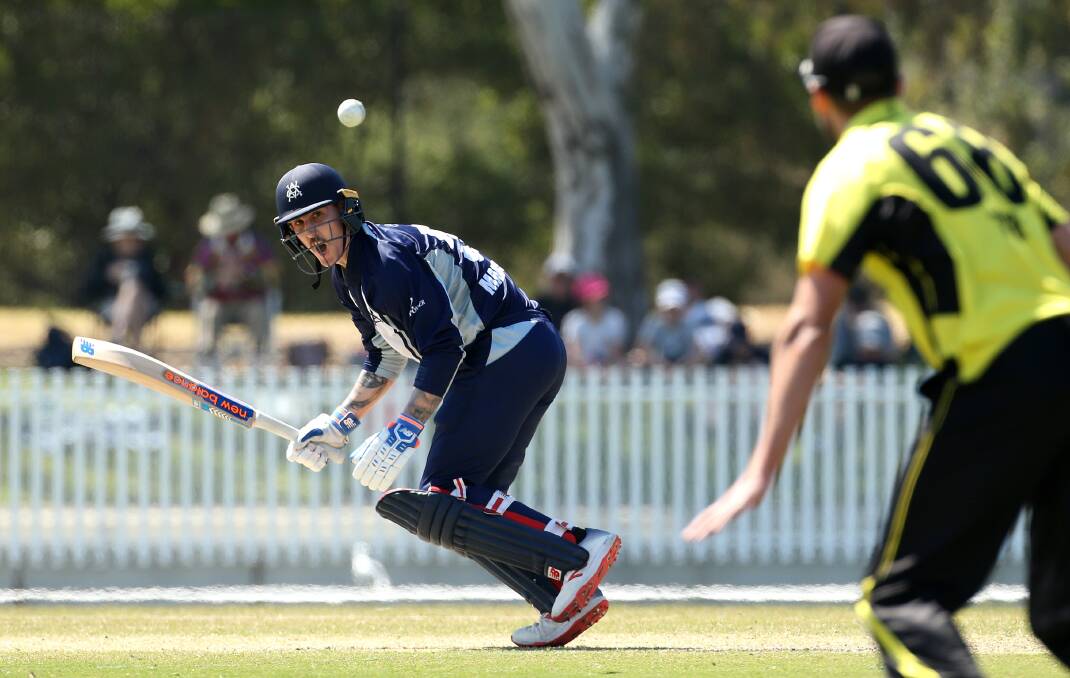 Victoria's Nic Maddinson batting against Western Australia. Photo: HAMISH BLAIR