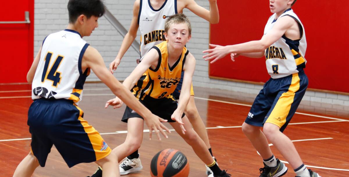Illawarra Academy of Sport basketball award winner Braydan Daly in action for the Shoalhaven Tigers this season. Photo: Basketball NSW