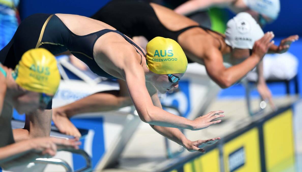 JUMP START TO HER CAREER: Jasmine Greenwood dives into the water at the Commonwealth Games' Optus Aquatic Centre. Photo: SWIMMING AUSTRALIA
