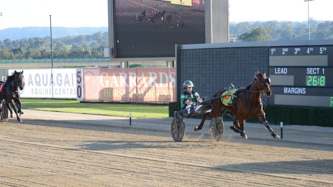 Mason Beresford charges to victory at Menangle. Photo: Chips Lett Photography