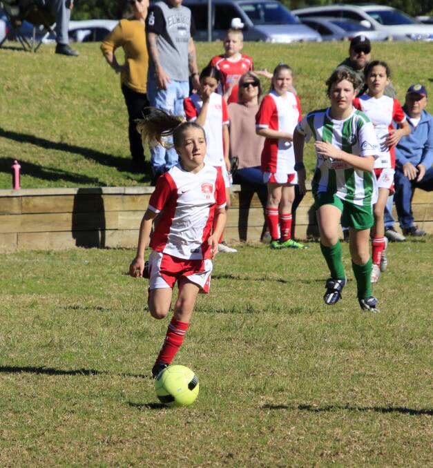 Dragons' under 12 girls player Matilda Dicker goes on the attack against the Seagulls. Photo: Tamara Lee