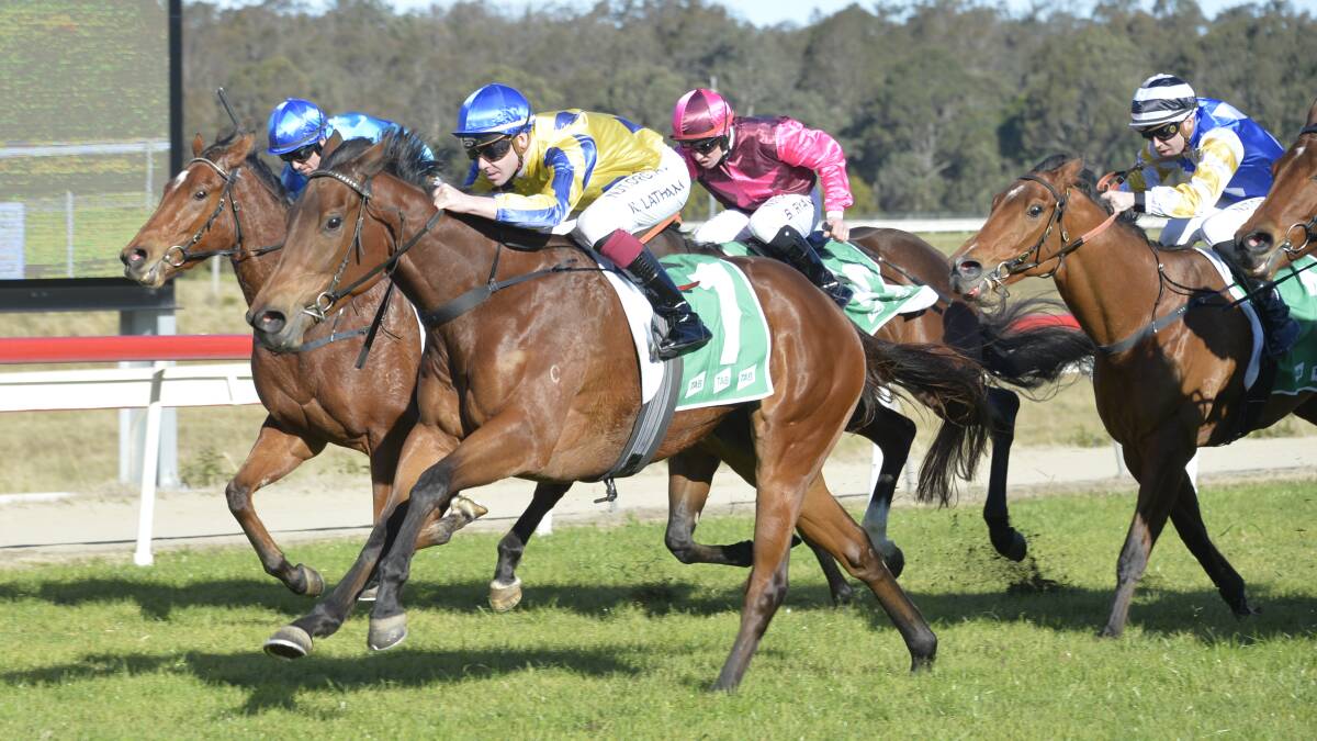 Gregory Hickman's Moetta races to the finish line at Nowra on Friday. Photo: Bradleyphotos.com.au