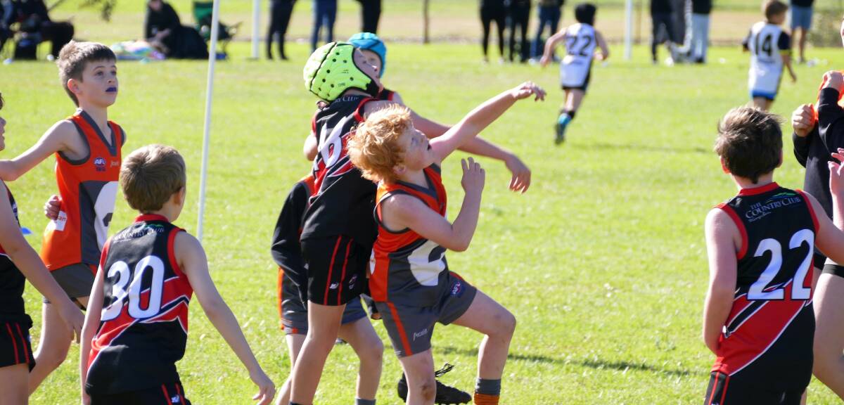 Shoalhaven Giants and Bay and Basin Bombers battle for possession at Tom Smith Oval. Photo: David Johnson.