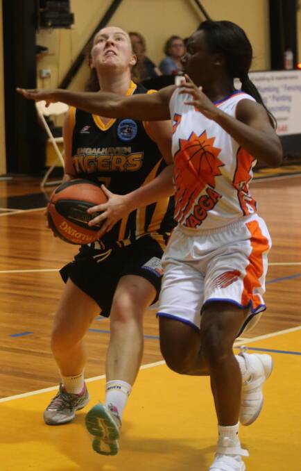 Carlin Day and her Shoalhaven Tigers are waiting on an announcement from Basketball NSW. Photo: Robert Crawford