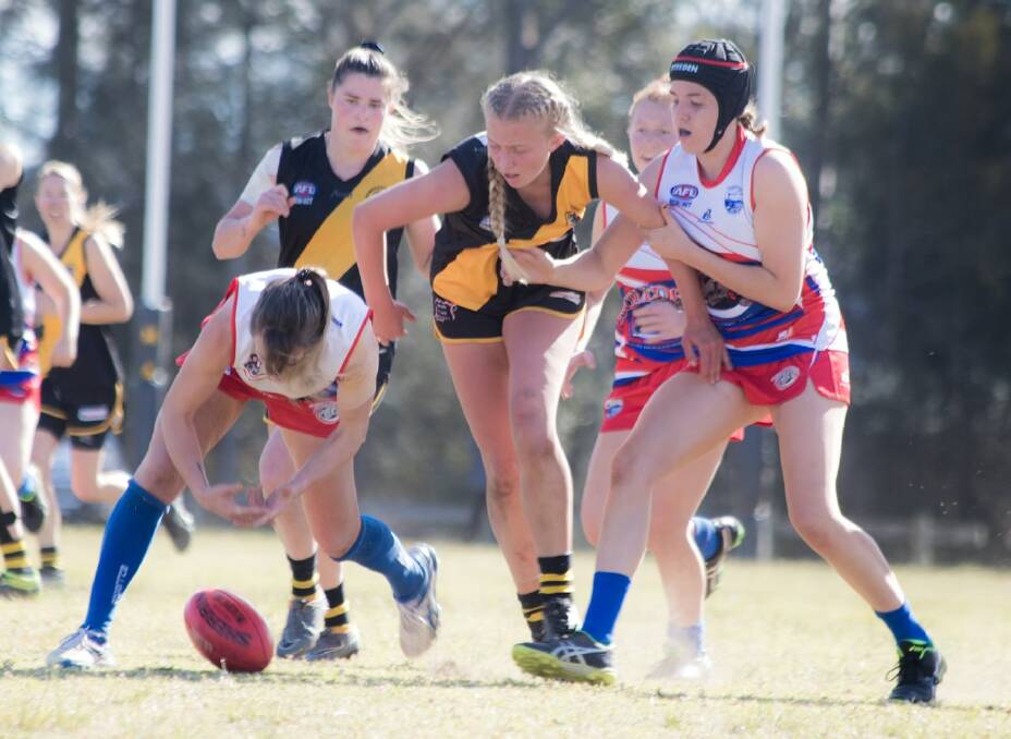 Tigers' Bridget Kellet and Sophie Phillips attempt to win possession for their side against the Bulldogs. Photo: TEAM SHOT STUDIOS