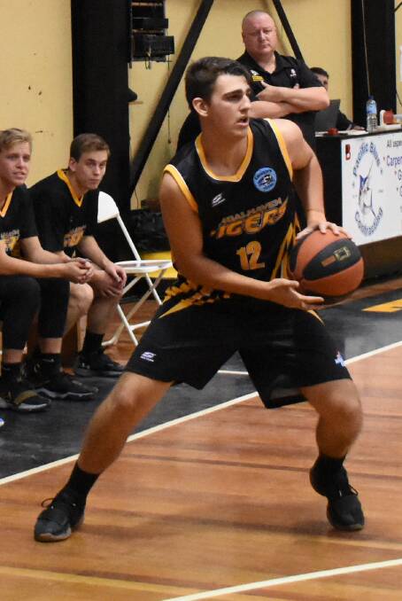 DRIVE: Shoalhaven Tigers forward Jeremy Harding scored 14 points in his team's loss to Sydney Comets on Sunday. Photo: COURTNEY WARD