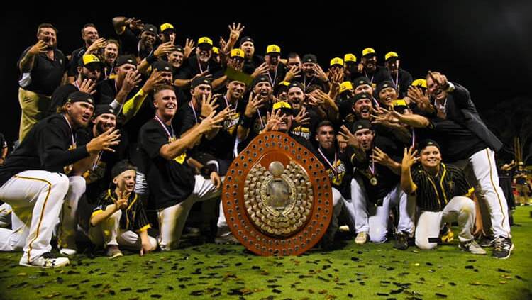 The Brisbane Bandits with the Claxton Shield. Photo: BANDITS MEDIA