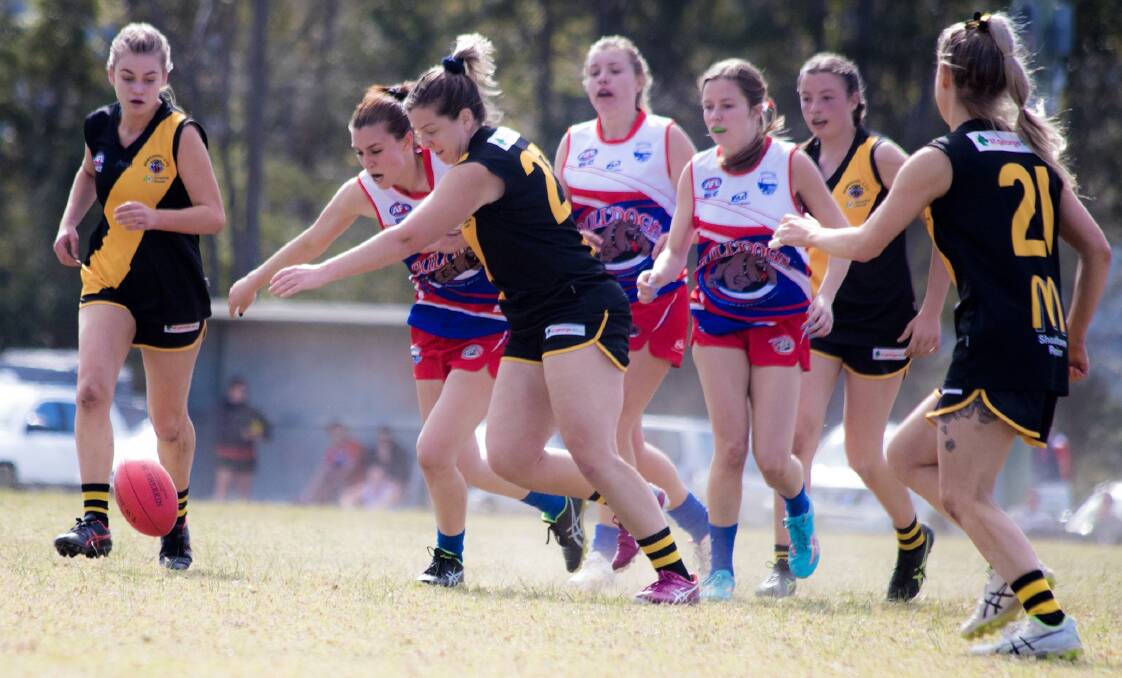 CONCENTRATION: Bomaderry's Katie Sargent and her side ground out a tough two-point win against the Bulldogs on Saturday. Photo: TEAM SHOT STUDIOS