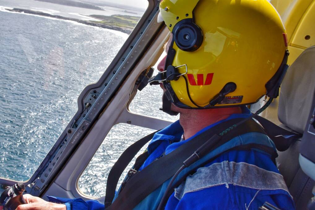 The Westpac Life Saver Rescue Helicopter Lifesaver 23 searching for the missing snorkeller on Tuesday, January 26. Lifesaver 23 crews are back in the air continuing the search on Wednesday, January 27. Image: Westpac Life Saver Rescue Helicopter Twitter. 