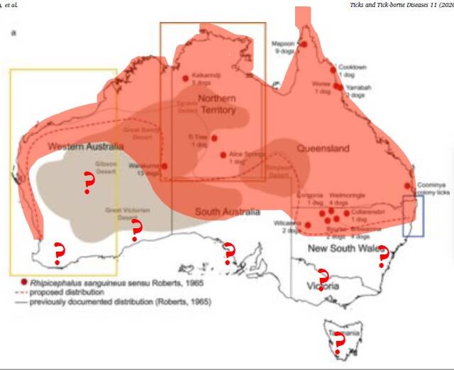 Map of the potential spread of ehrlichiosis across Australia. Slide presented by Dr Bonny Cumming.