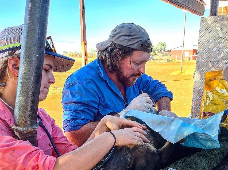 FLYING VET: Dr Campbell Costello working in a makeshift surgery in outback NT said the rapid spread of ehrlichiosis resembled "a war zone". Picture: supplied.
