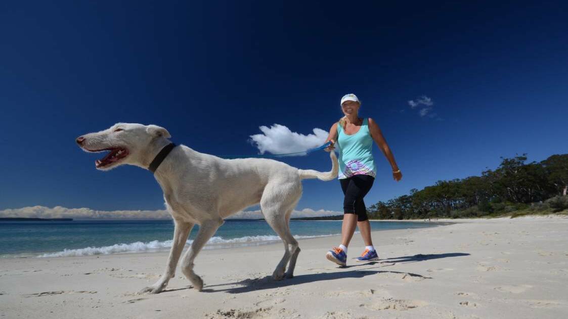 Melissa McManus from Woollamia and Smoothy the Wonderdog love a walk on the beach. 