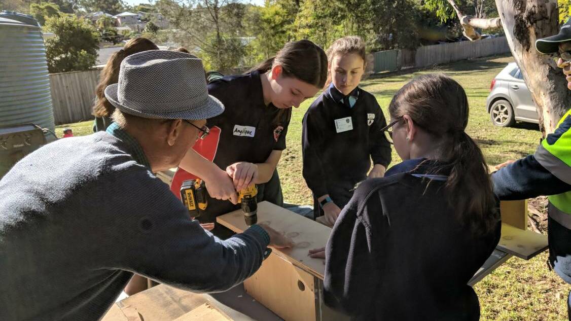 Mini local legends at the Shoalhaven Intrepid Landcare Expo building nestboxes for sugar glider habitat.