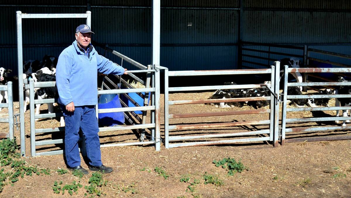 VICTORY: Milton dairy farmer Robert Miller led a national campaign against discount milk.  