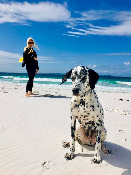 PIC OF THE DAY: Miriam Schaub and her rescue pup Bailey enjoy a day at Hyams Beach. Email photos to john.hanscombe@southcoastregister.com.au 