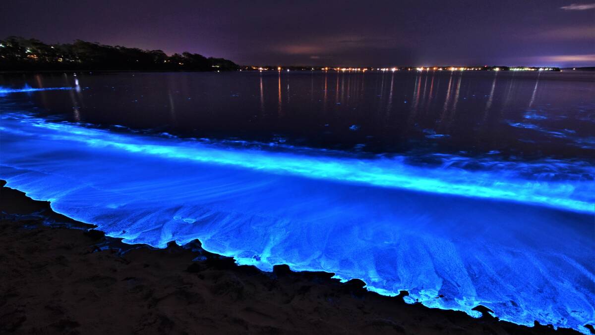 PIC OF THE DAY: From our files, bioluminescence in Jervis Bay by Dannie & Matt Connolly Photography. Email your photos to editor@southcoastregister.com.au