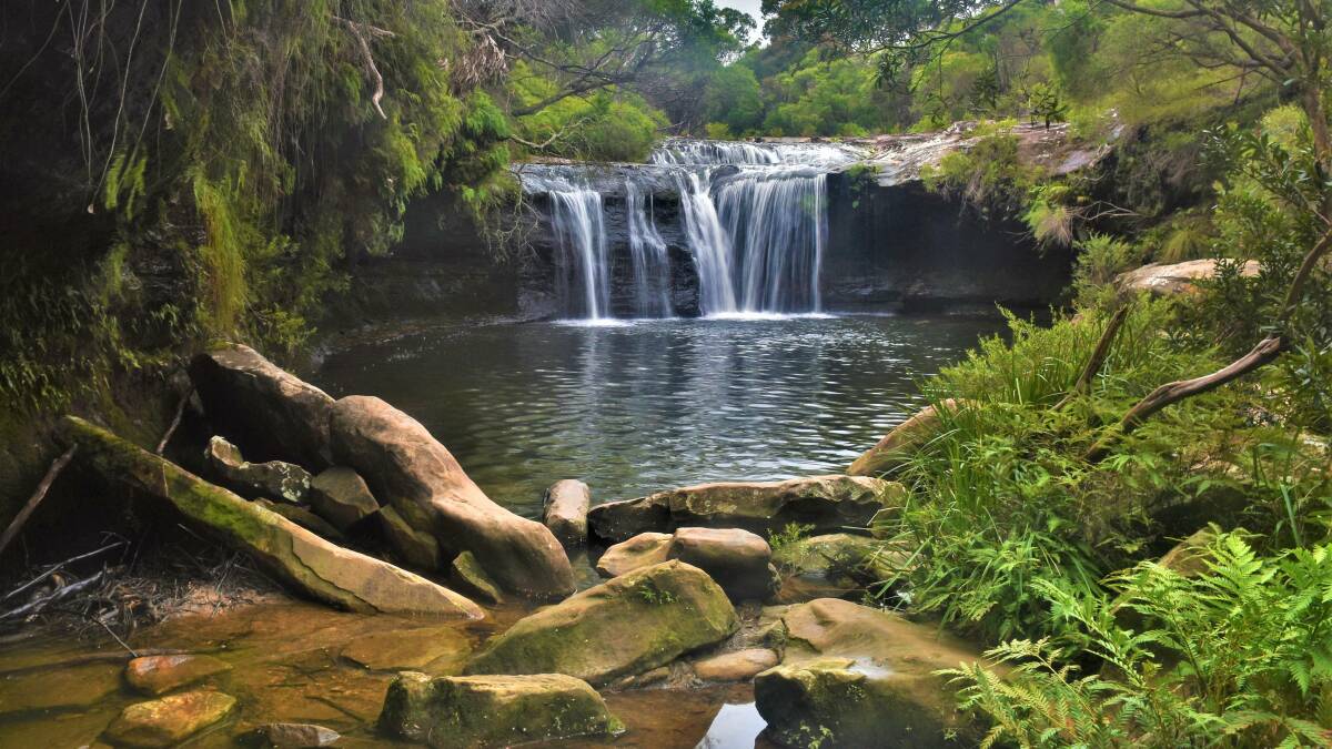 PIC OF THE DAY: Nellies Glen waterfall by Dannie & Matt Connolly Photography. Email your photos to editor@southcoastregister.com.au
