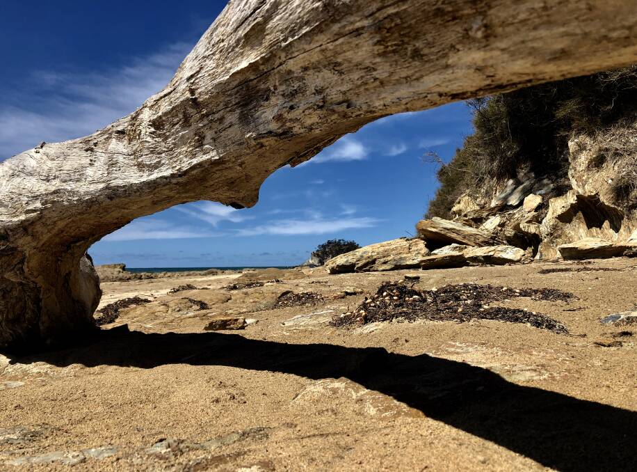 PIC OF THE DAY: Driftwood frames sea and sky. Send your photos to editor@southcoastregister.com.au