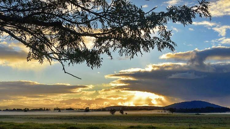 PIC OF THE WEEK: Rachel George captured the morning mist near Nowra. Send photos to editor@scregister.com.au