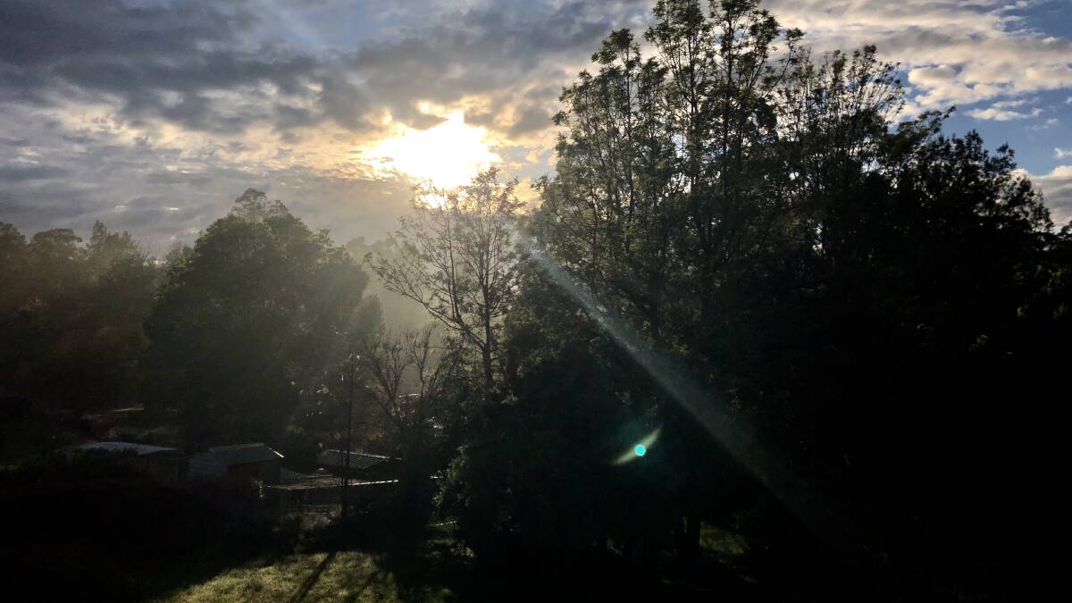 PIC OF THE DAY: Dewy spring morning. Send your photos to john.hanscombe@southcoastregister.com.au