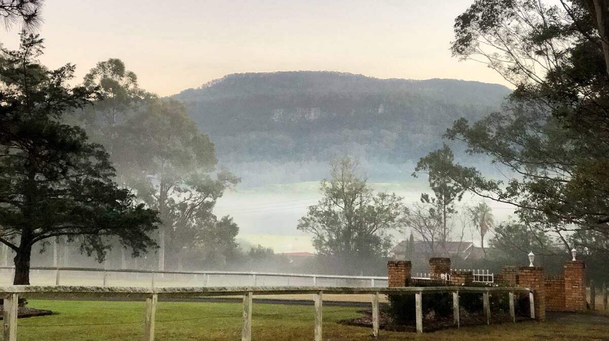 PIC OF THE DAY: Autumn mist in Tapitallee by John Hanscombe. Send photos to editor.scregister@fairfaxmedia.com.au