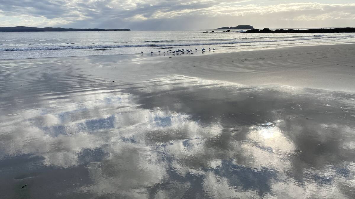 PIC OF THE DAY: Reflective moment on the South Coast. Email your photos to editor@southcoastregister.com.au 