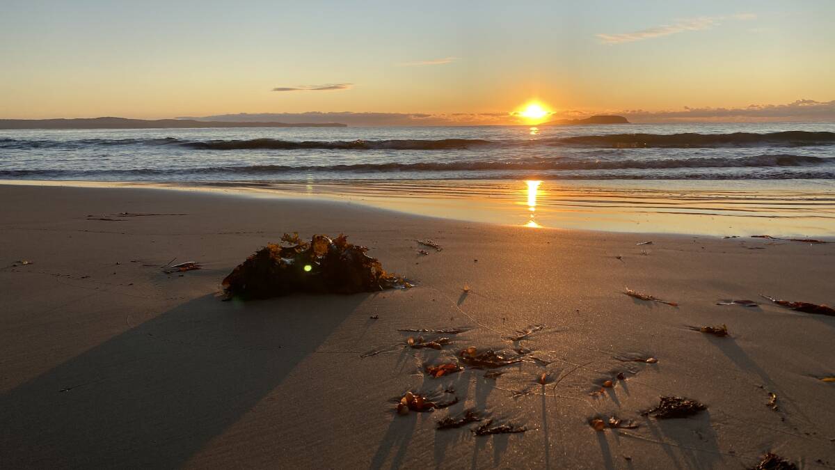 PIC OF THE DAY: Sunrise on the beach. Email your photos to editor@southcoastregister.com.au