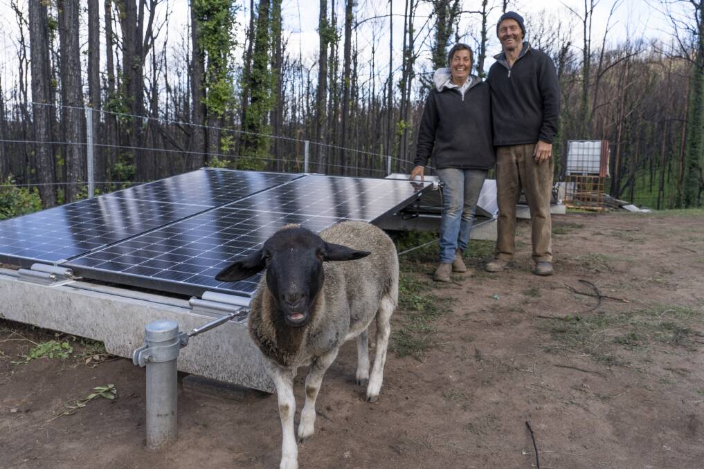 Plugged in: Tracey and Mark Minton with Lucy the lamb at the bank of solar panels supplying them with electricity. Picture: Endeavour Energy