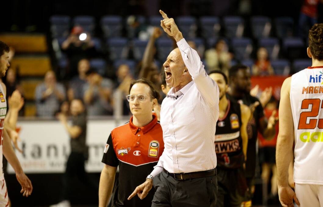 Coach Brian Goorjian celebrates after a Hawks win over the Wildcats at the WEC last month. Photo: Anna Warr