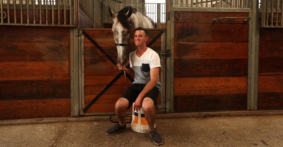 Co-trainer Luke Price hopes his mare Eugene's Pick can win this Saturday. Photo: Sylvia Liber 