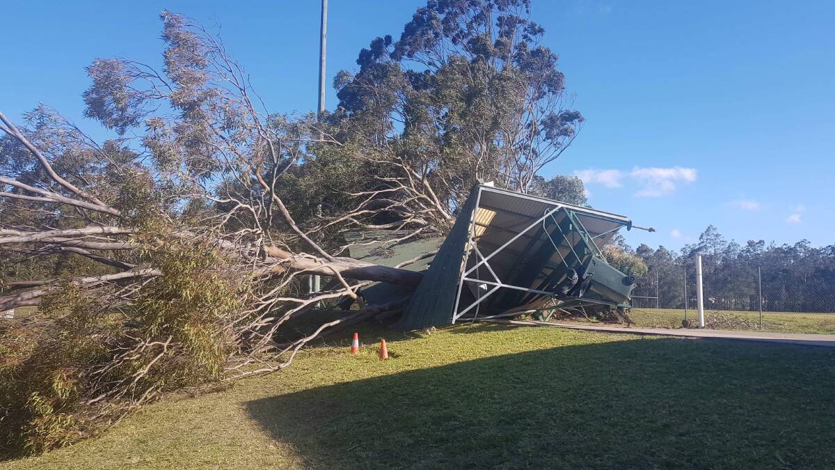 TIMBER: High winds caused a tree to fall on Nowra Rugby Club's grandstand 