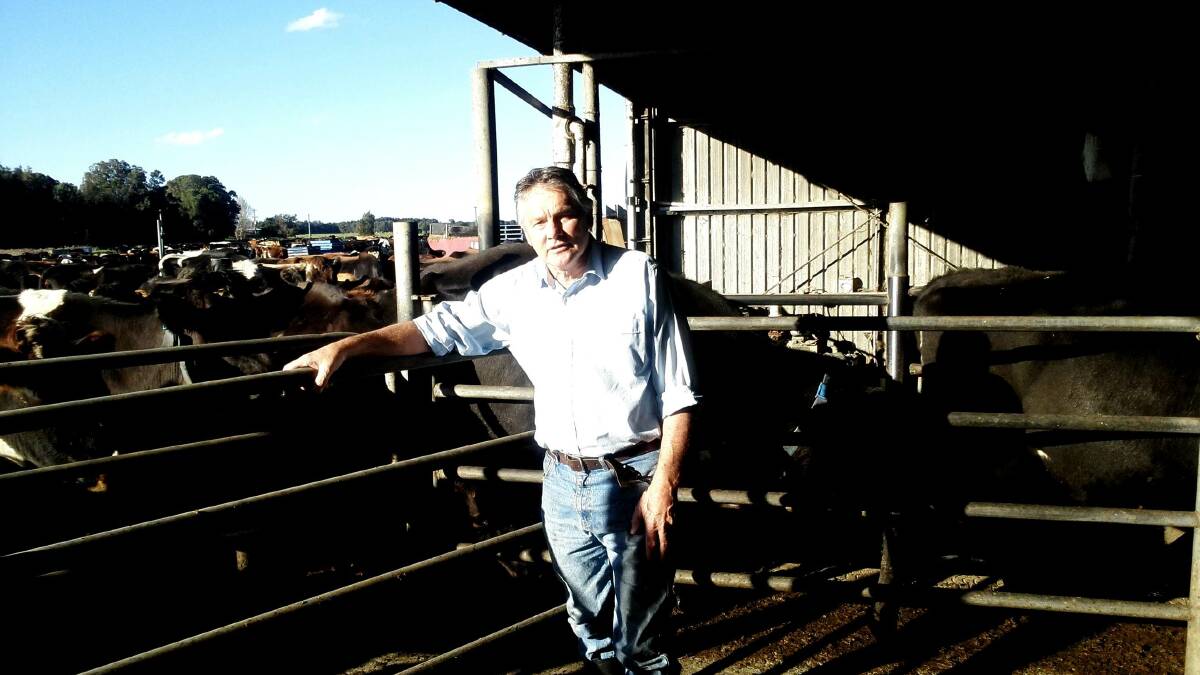 The NSW Government has followed through on one of its key election commitments, appointing the state's very first fresh milk and dairy advocate Ian Zandstra.