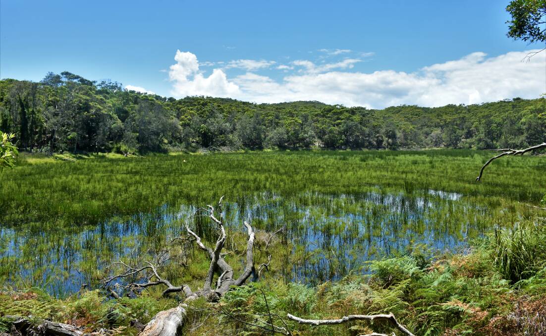 Pic of the week: Ryan swamp in all its natural glory. Photo by Dannie and Matt Connolly Photography