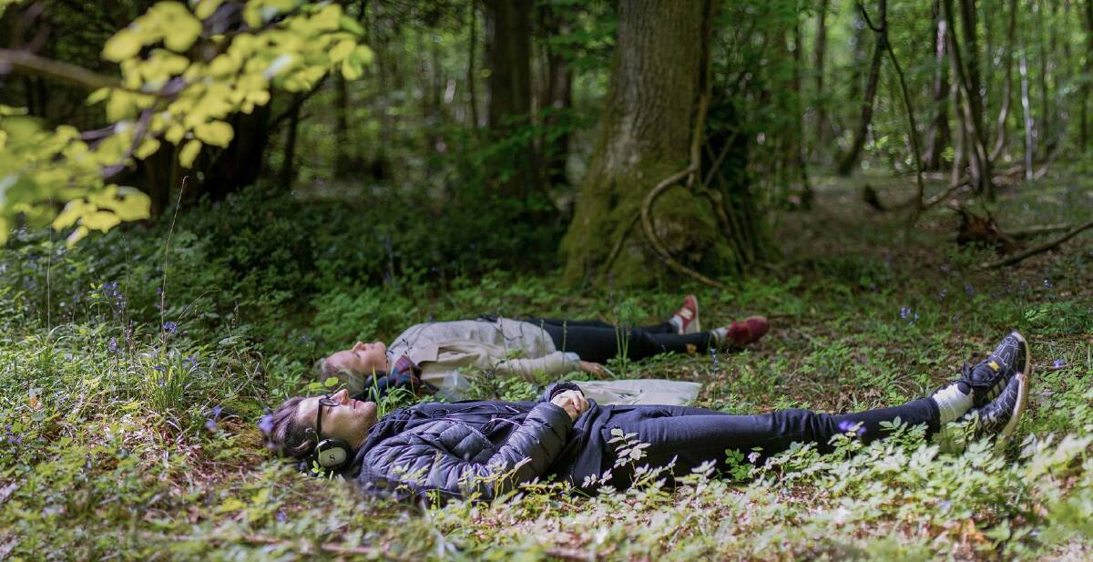 SUBSUMED: Enjoy audio work, Bushland by French & Mottershead lying beneath the trees. Photo: Paul Blak