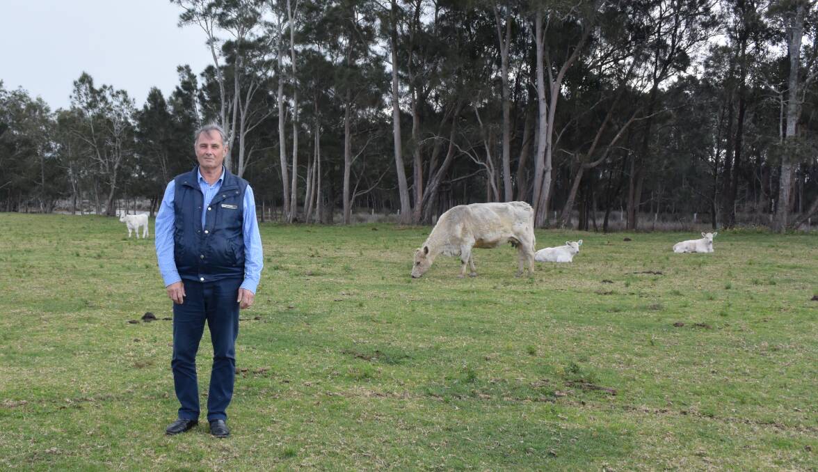 HELP NEEDED: Shoalhaven cattle farmer Stephen Sims on his Numbaa property. Photo: Madeline Crittenden. 