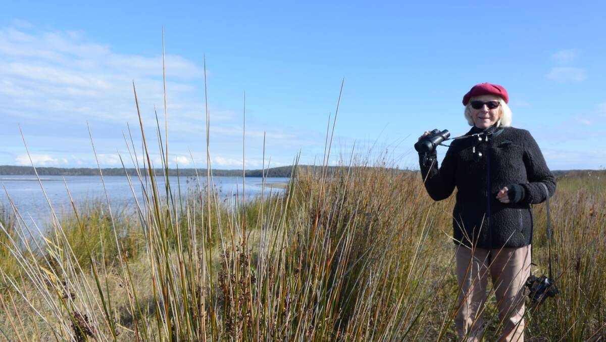 POPULATION DECLINE: Lake Wollumboola Protection Association president and avid bird watcher Frances Bray, said she had noticed a decline in threatened bid species at Lake Wollumboola. 