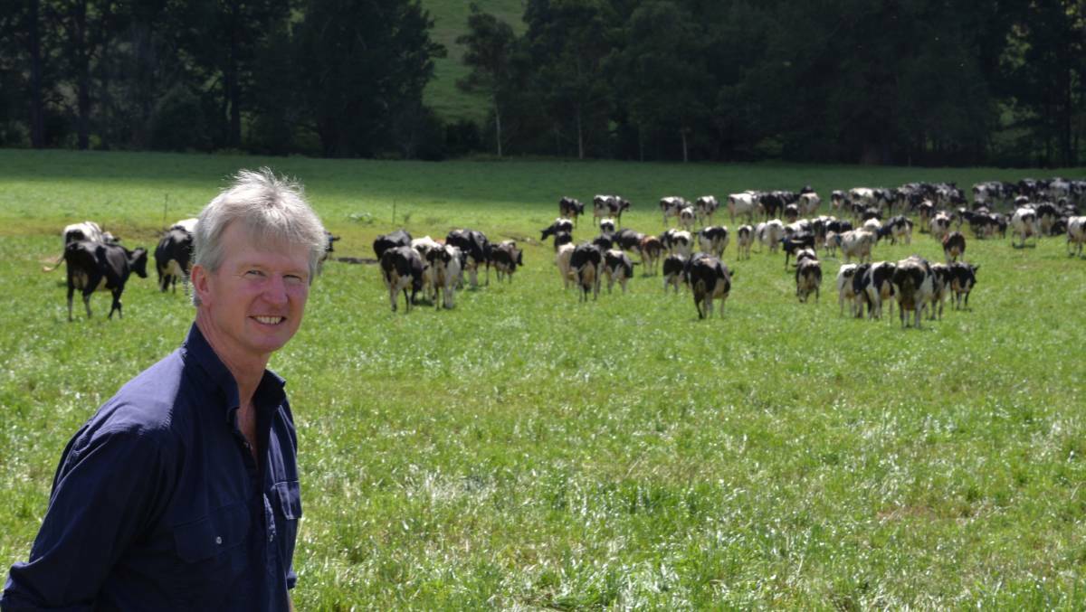 Fourth generation Kangaroo Valley dairy farmer Trevor Parrish said his gauges have collected 35mm of rainfall since Wednesday.