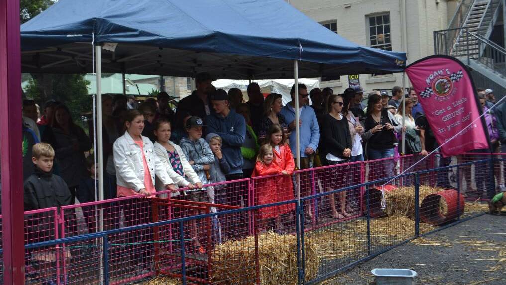 The crowd packed in under cover to watch the pig races at the festival in Kangaroo Valley last year. Picture: Rebecca Fist