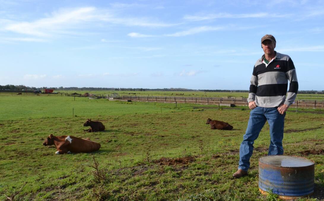 Tim Cochrane on his Terara dairy farm. 