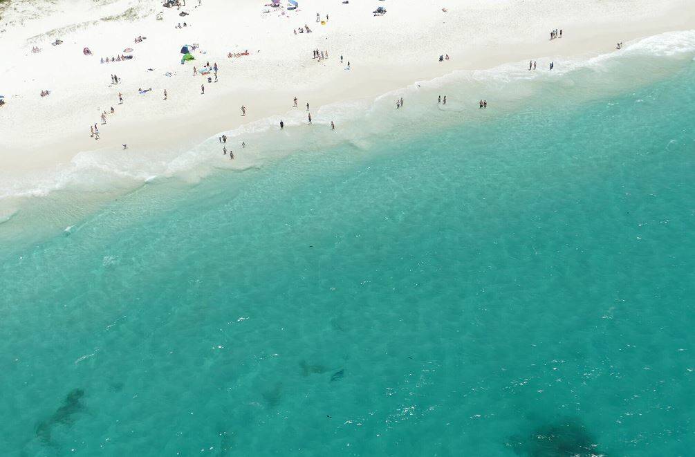 Hyams Beach was evacuated on January 4, after an unidentified shark measuring 2.2 metres came close to swimmers. Photo: NSW Shark Smart.