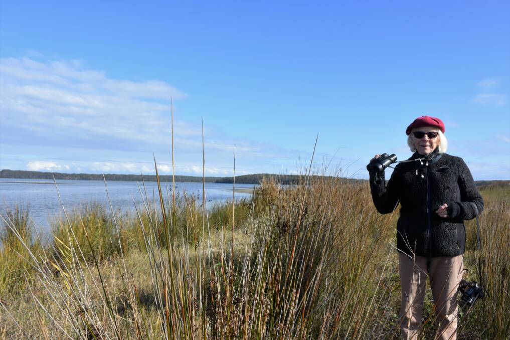 ENVIRONMENTAL PROTECTION: Frances Bray bird watching at Lake Woolumboola. 