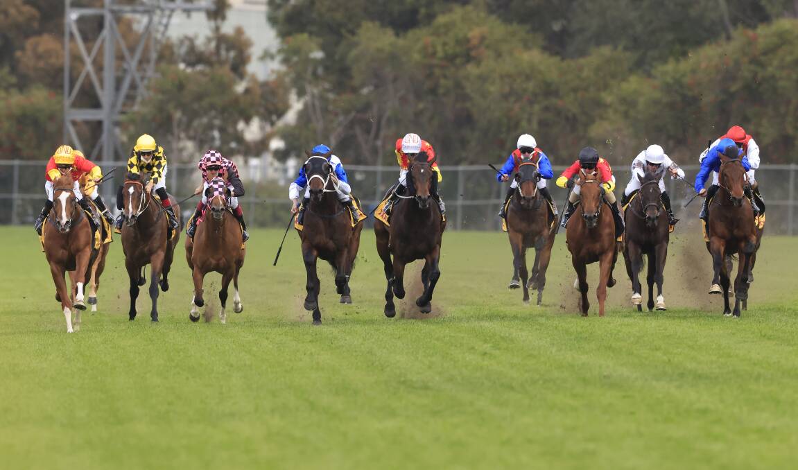 Jamaea (second from right) attempts to make up ground on Golden Rose winner In The Congo (far left). Photo: Mark Evans