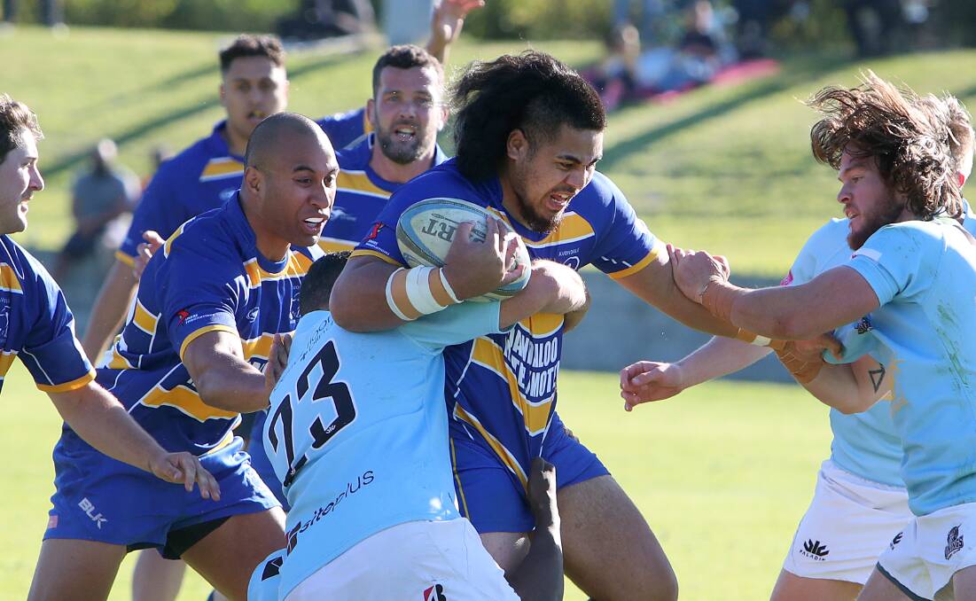Avondale's Willy Taiti-Taanoa has been banned for 16 weeks by the Illawarra Rugby judiciary. Photo: Sylvia Liber