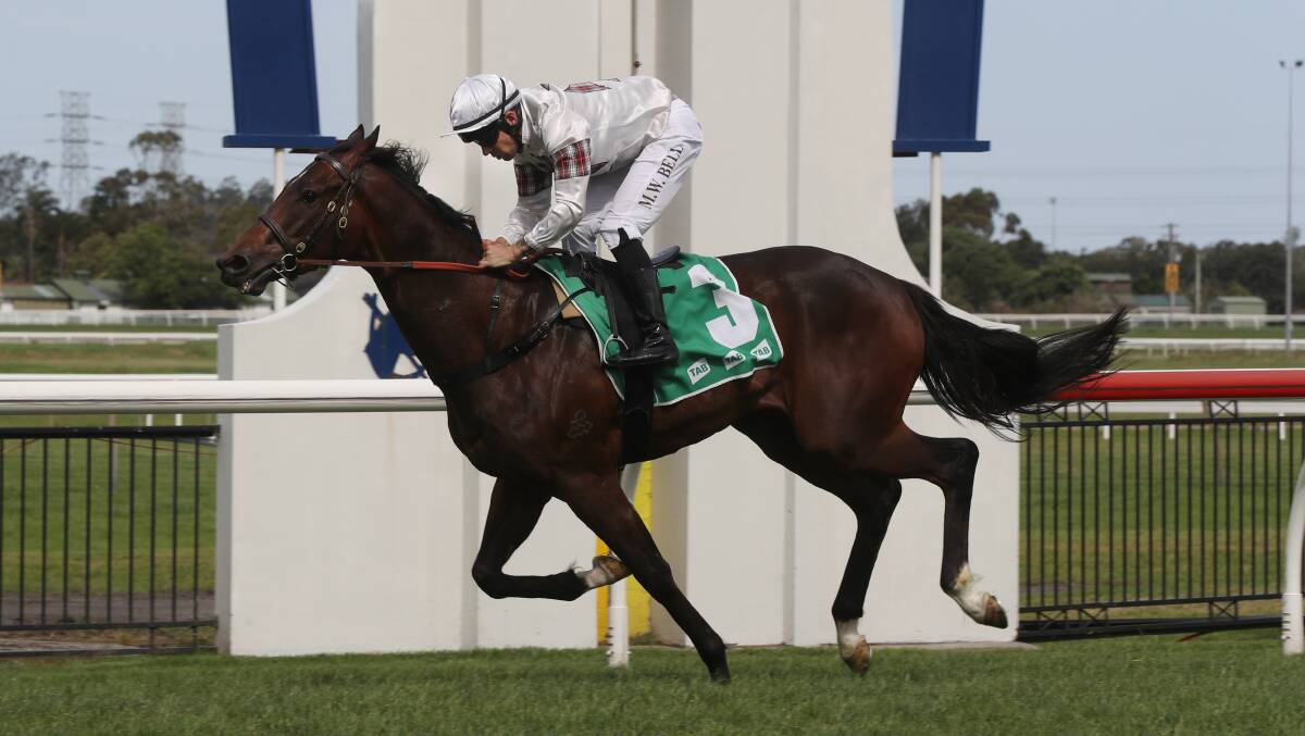 Count De Rupee will start as favourite in the $1 million The Gong on his home track. Photo: Robert Peet