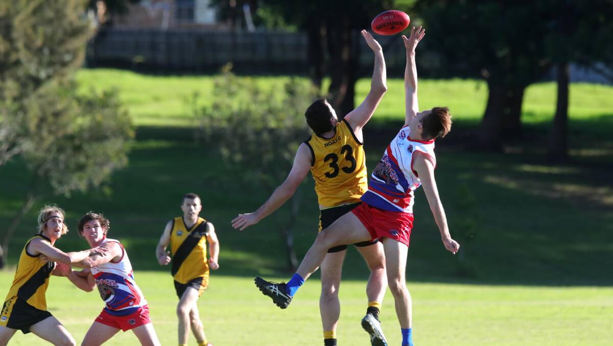 Up in the air: This weekend's slate of AFL South Coast fixtures has been cancelled. Picture: Sylvia Liber