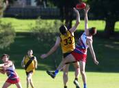 Up in the air: This weekend's slate of AFL South Coast fixtures has been cancelled. Picture: Sylvia Liber