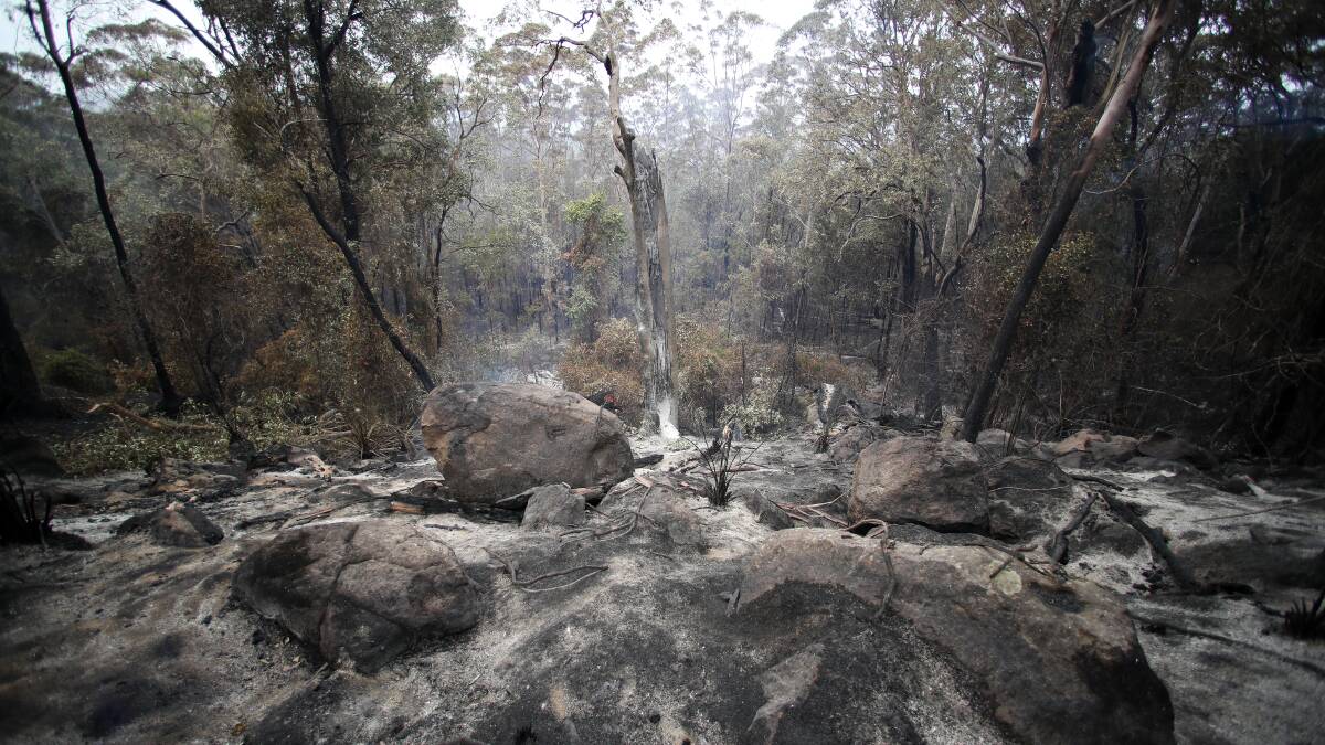 Kangaroo Valley locals tell of horror and hope amid Currowan fire devastation