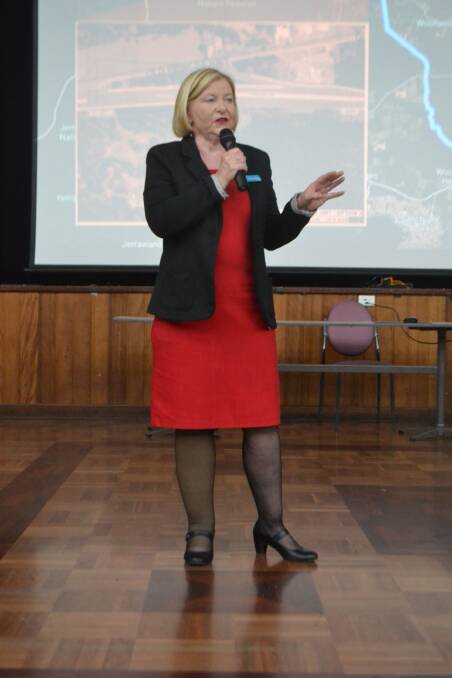 South Coast Labor Candidate Annette Alldrick at a public meeting on highway safety in Sanctuary Point in November.